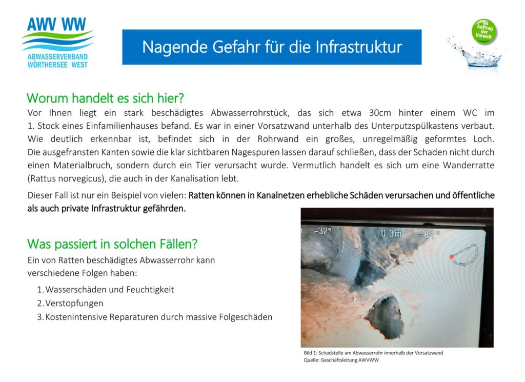 Nagende Gefahr für die Infrastruktur