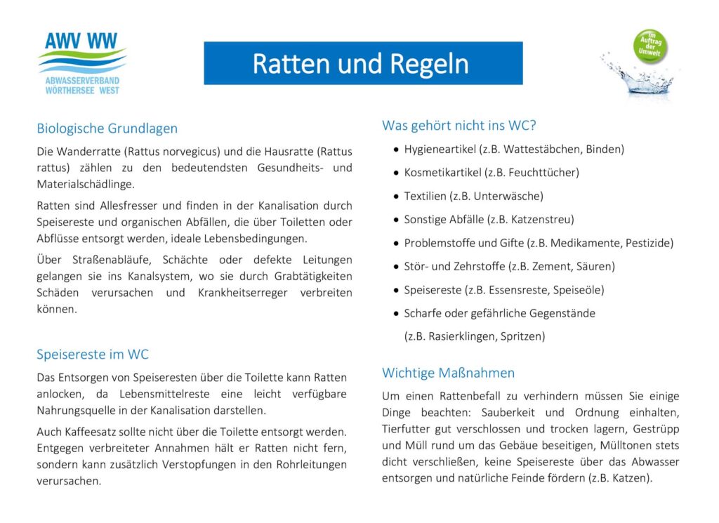 Ratten und Regeln